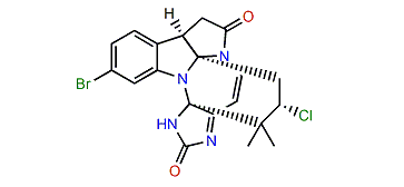 Securamine C